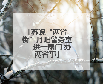 苏皖“两省一街”丹阳警务室：进一扇门 办两省事