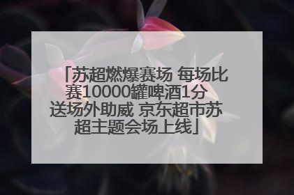 苏超燃爆赛场 每场比赛10000罐啤酒1分送场外助威 京东超市苏超主题会场上线