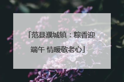 范县濮城镇：粽香迎端午 情暖敬老心