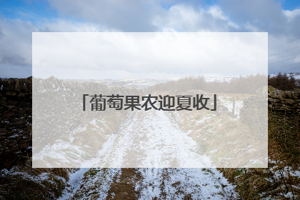 葡萄果农迎夏收