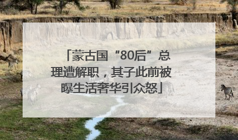 蒙古国“80后”总理遭解职，其子此前被曝生活奢华引众怒