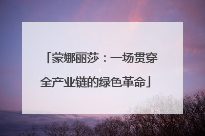 蒙娜丽莎：一场贯穿全产业链的绿色革命