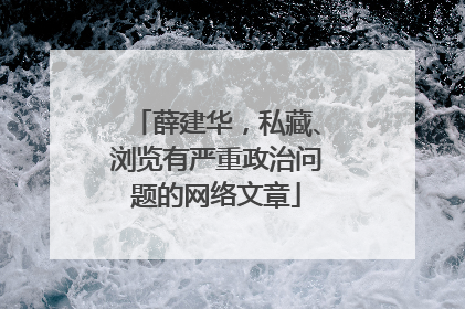薛建华，私藏、浏览有严重政治问题的网络文章