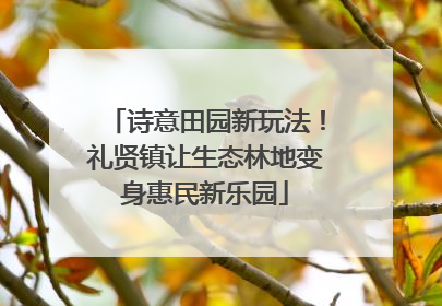 诗意田园新玩法！礼贤镇让生态林地变身惠民新乐园