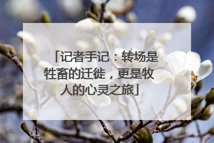 记者手记：转场是牲畜的迁徙，更是牧人的心灵之旅