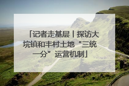 记者走基层丨探访大垸镇和丰村土地“三统一分”运营机制