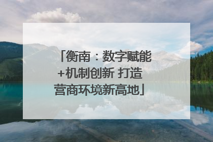 衡南：数字赋能+机制创新 打造营商环境新高地