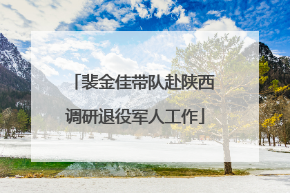 裴金佳带队赴陕西调研退役军人工作