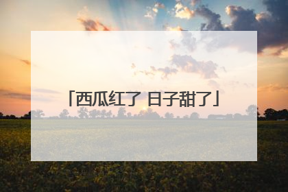 西瓜红了 日子甜了