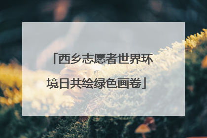 西乡志愿者世界环境日共绘绿色画卷