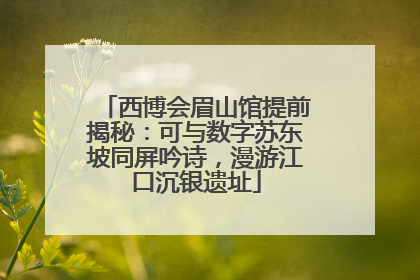 西博会眉山馆提前揭秘：可与数字苏东坡同屏吟诗，漫游江口沉银遗址