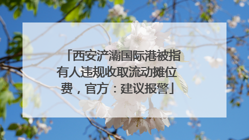 西安浐灞国际港被指有人违规收取流动摊位费，官方：建议报警