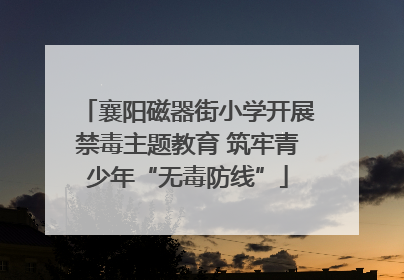 襄阳磁器街小学开展禁毒主题教育 筑牢青少年“无毒防线”
