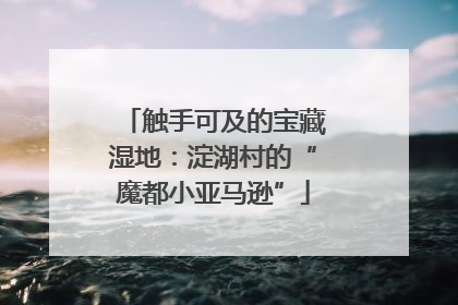 触手可及的宝藏湿地：淀湖村的“魔都小亚马逊”