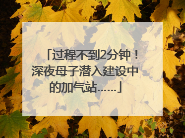 过程不到2分钟！深夜母子潜入建设中的加气站……