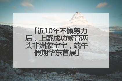 近10年不懈努力后，上野成功繁育两头非洲象宝宝，端午假期华东首展