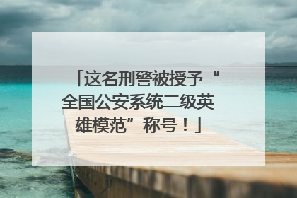 这名刑警被授予“全国公安系统二级英雄模范”称号！