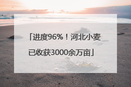 进度96%！河北小麦已收获3000余万亩