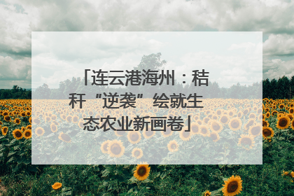 连云港海州：秸秆“逆袭”绘就生态农业新画卷