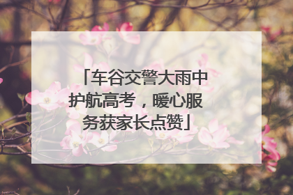车谷交警大雨中护航高考，暖心服务获家长点赞