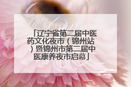 辽宁省第二届中医药文化夜市（锦州站）暨锦州市第二届中医康养夜市启幕