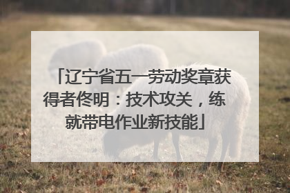 辽宁省五一劳动奖章获得者佟明：技术攻关，练就带电作业新技能