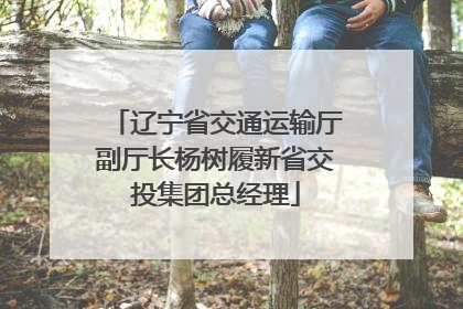 辽宁省交通运输厅副厅长杨树履新省交投集团总经理