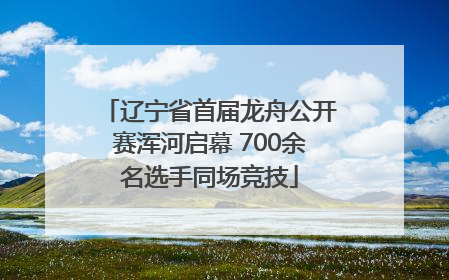 辽宁省首届龙舟公开赛浑河启幕 700余名选手同场竞技