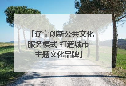 辽宁创新公共文化服务模式 打造城市主题文化品牌