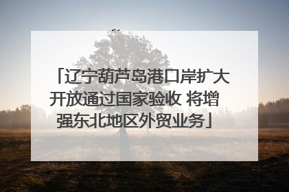 辽宁葫芦岛港口岸扩大开放通过国家验收 将增强东北地区外贸业务