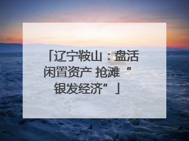 辽宁鞍山：盘活闲置资产 抢滩“银发经济”