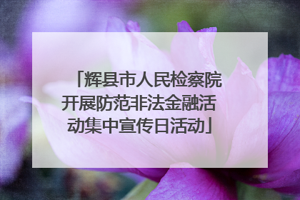 辉县市人民检察院开展防范非法金融活动集中宣传日活动