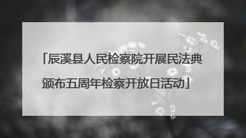 辰溪县人民检察院开展民法典颁布五周年检察开放日活动