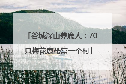 谷城深山养鹿人：70只梅花鹿带富一个村