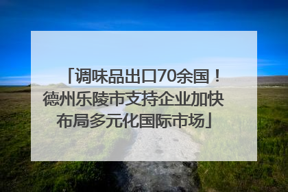 调味品出口70余国！德州乐陵市支持企业加快布局多元化国际市场
