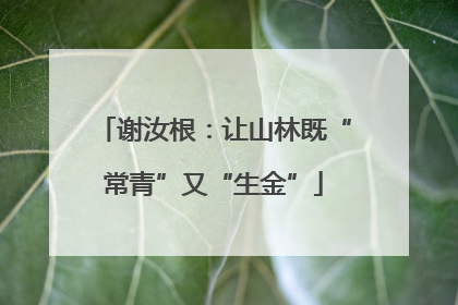 谢汝根：让山林既“常青”又“生金”