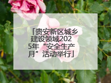 贵安新区城乡建设领域2025年“安全生产月”活动举行