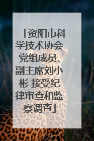 资阳市科学技术协会党组成员、副主席刘小彬 接受纪律审查和监察调查