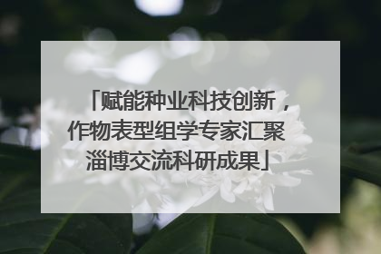赋能种业科技创新，作物表型组学专家汇聚淄博交流科研成果