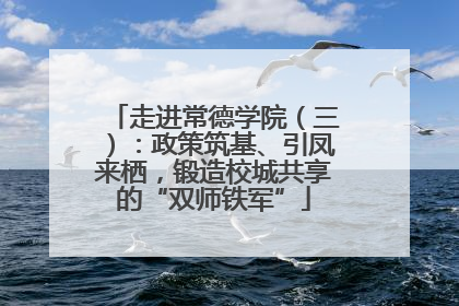 走进常德学院（三）：政策筑基、引凤来栖，锻造校城共享的“双师铁军”