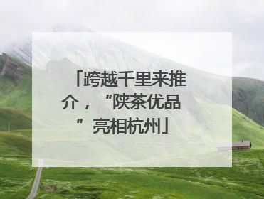 跨越千里来推介，“陕茶优品”亮相杭州