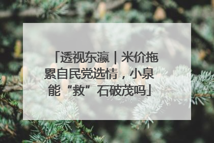 透视东瀛｜米价拖累自民党选情，小泉能“救”石破茂吗