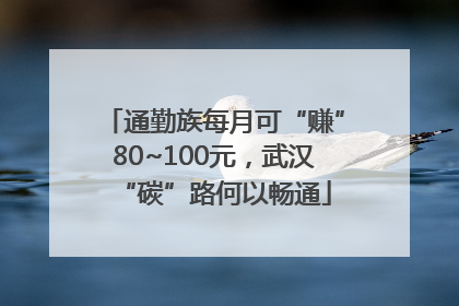 通勤族每月可“赚”80~100元，武汉“碳”路何以畅通