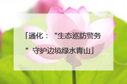 通化：“生态巡防警务”守护边境绿水青山
