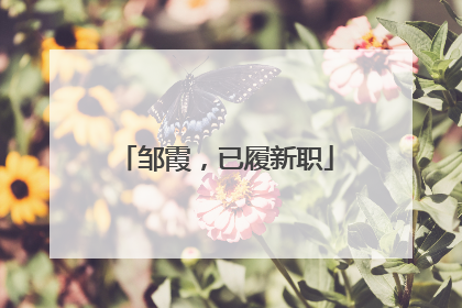 邹霞，已履新职