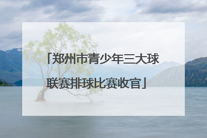 郑州市青少年三大球联赛排球比赛收官
