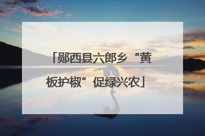 郧西县六郎乡“黄板护椒”促绿兴农