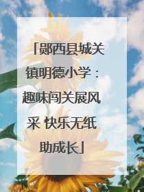 郧西县城关镇明德小学：趣味闯关展风采 快乐无纸助成长