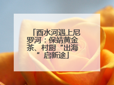 酉水河遇上尼罗河：保靖黄金茶、村厨“出海”启新途
