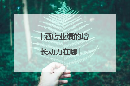 酒店业绩的增长动力在哪